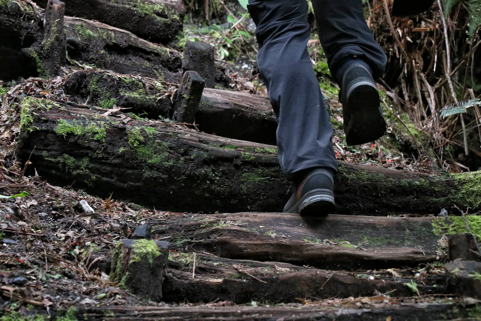 Wandelen in Patagonië: Sendero Volcán Chaitén