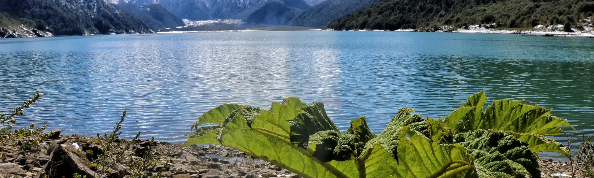 Wandelen in Patagonië - Lago Cabrera