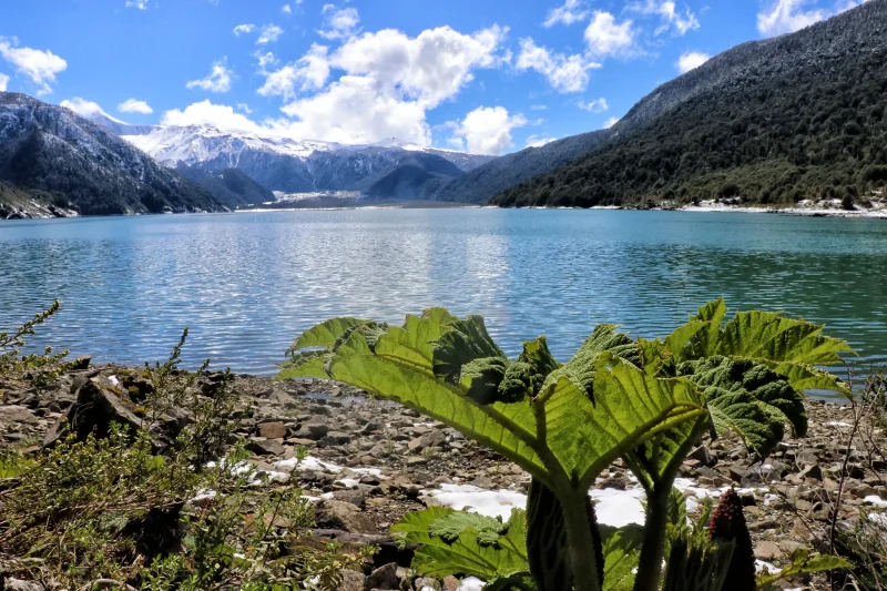 Wandelen in Patagonië - Lago Cabrera