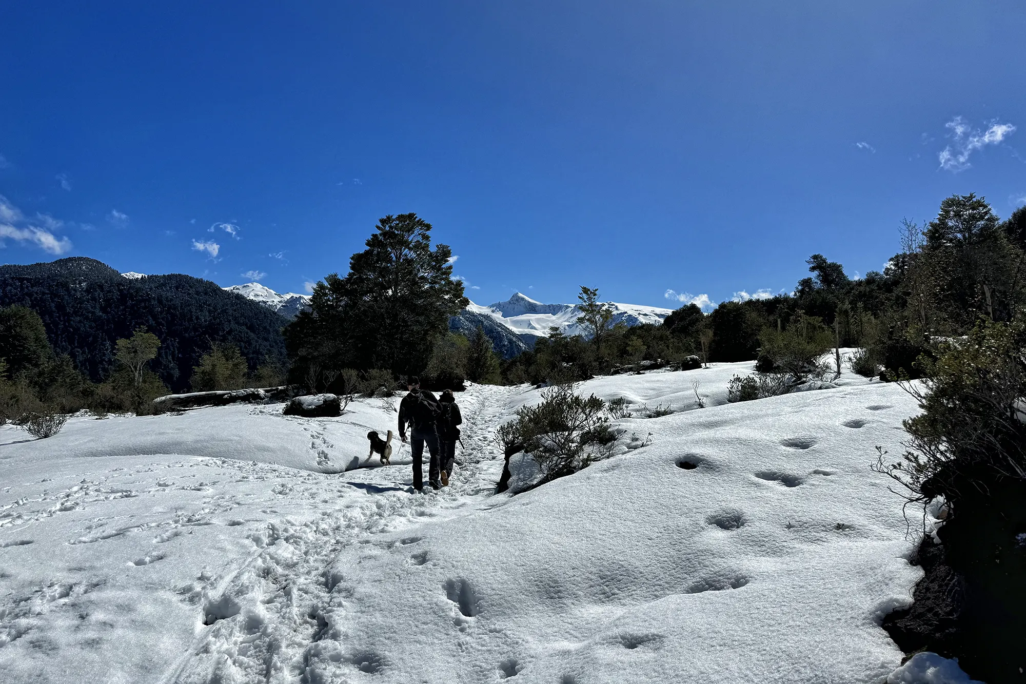 Wandelen in Patagonië - Lago Cabrera