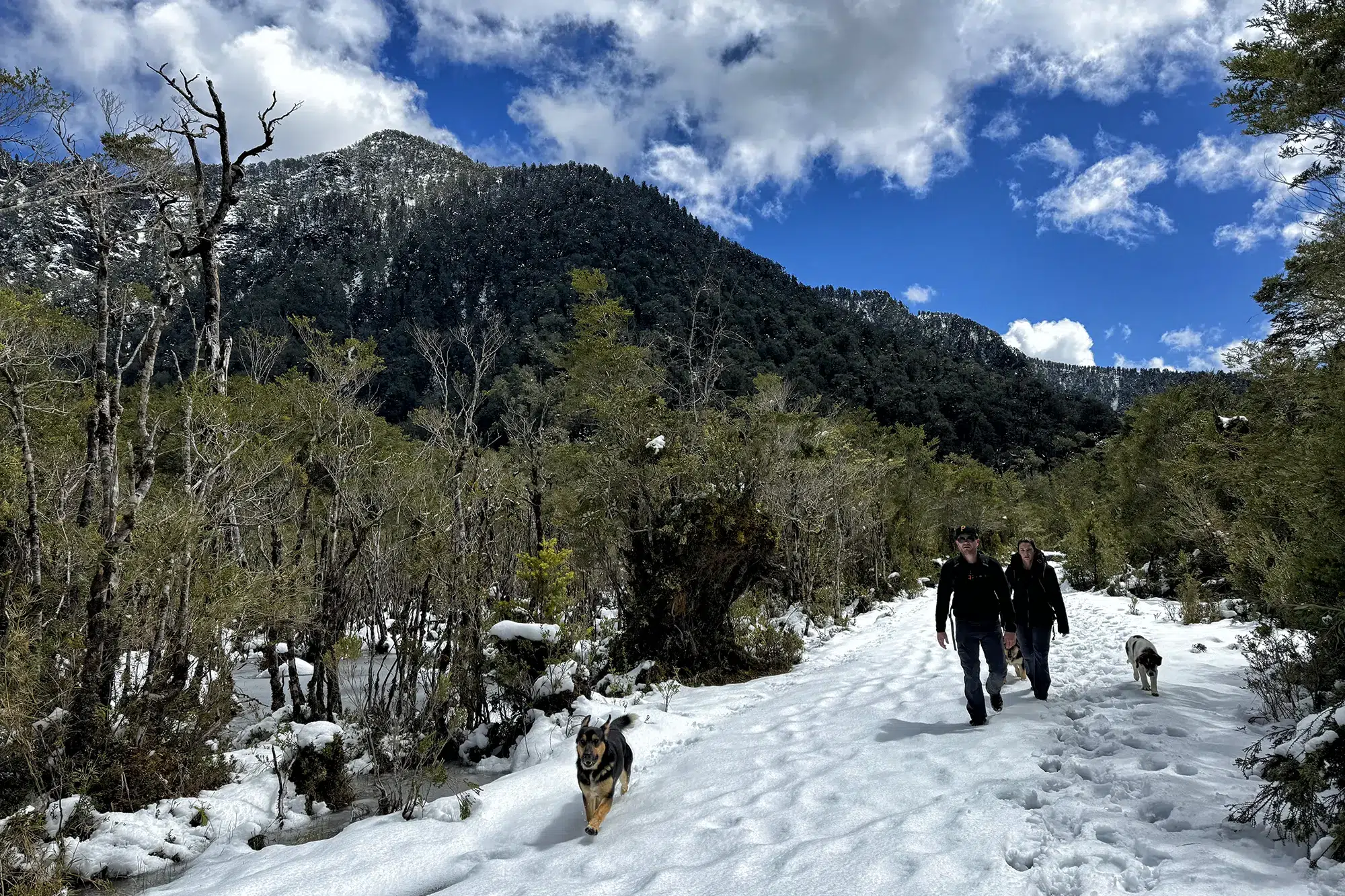 Wandelen in Patagonië - Lago Cabrera