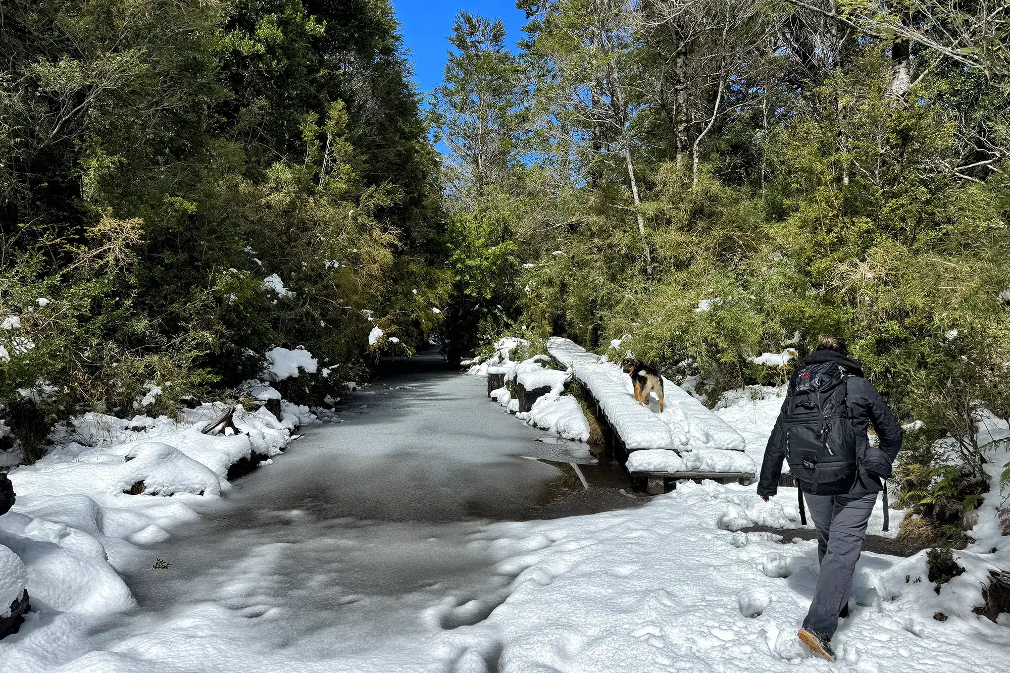 Wandelen in Patagonië - Lago Cabrera