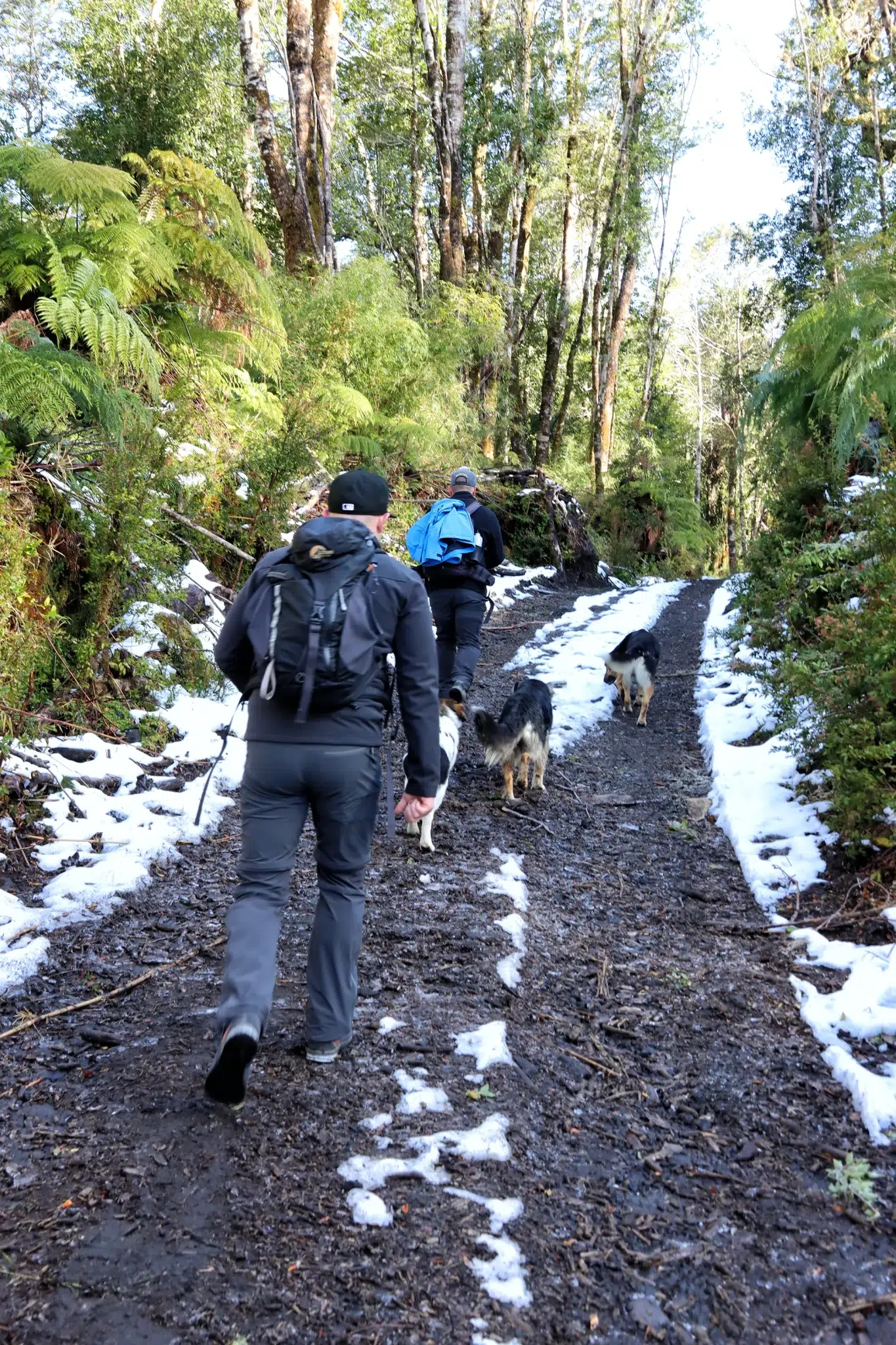 Wandelen in Patagonië - Lago Cabrera