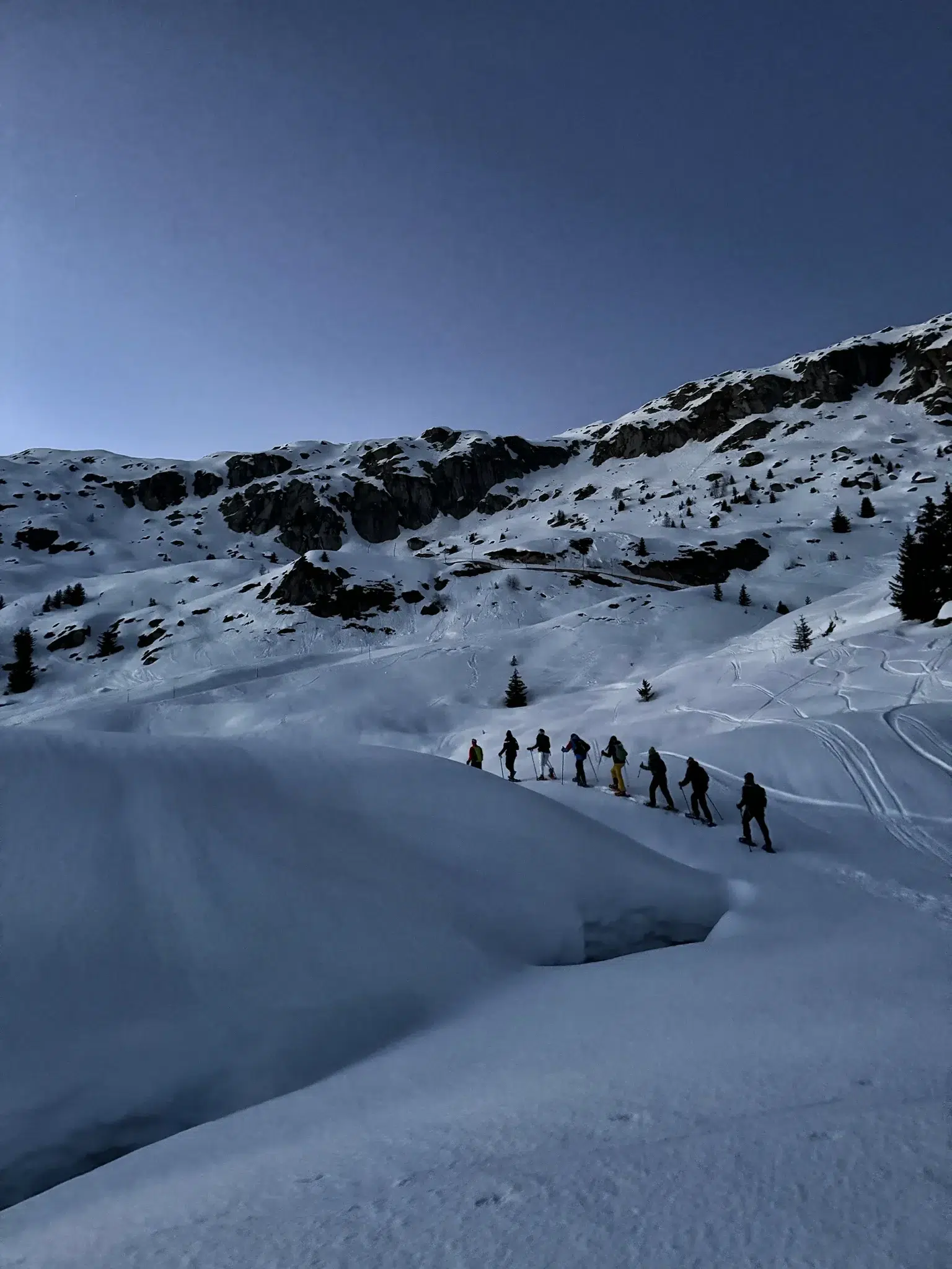 Aletsch Arena, Zwitserland - Sneeuwschoenwandelen