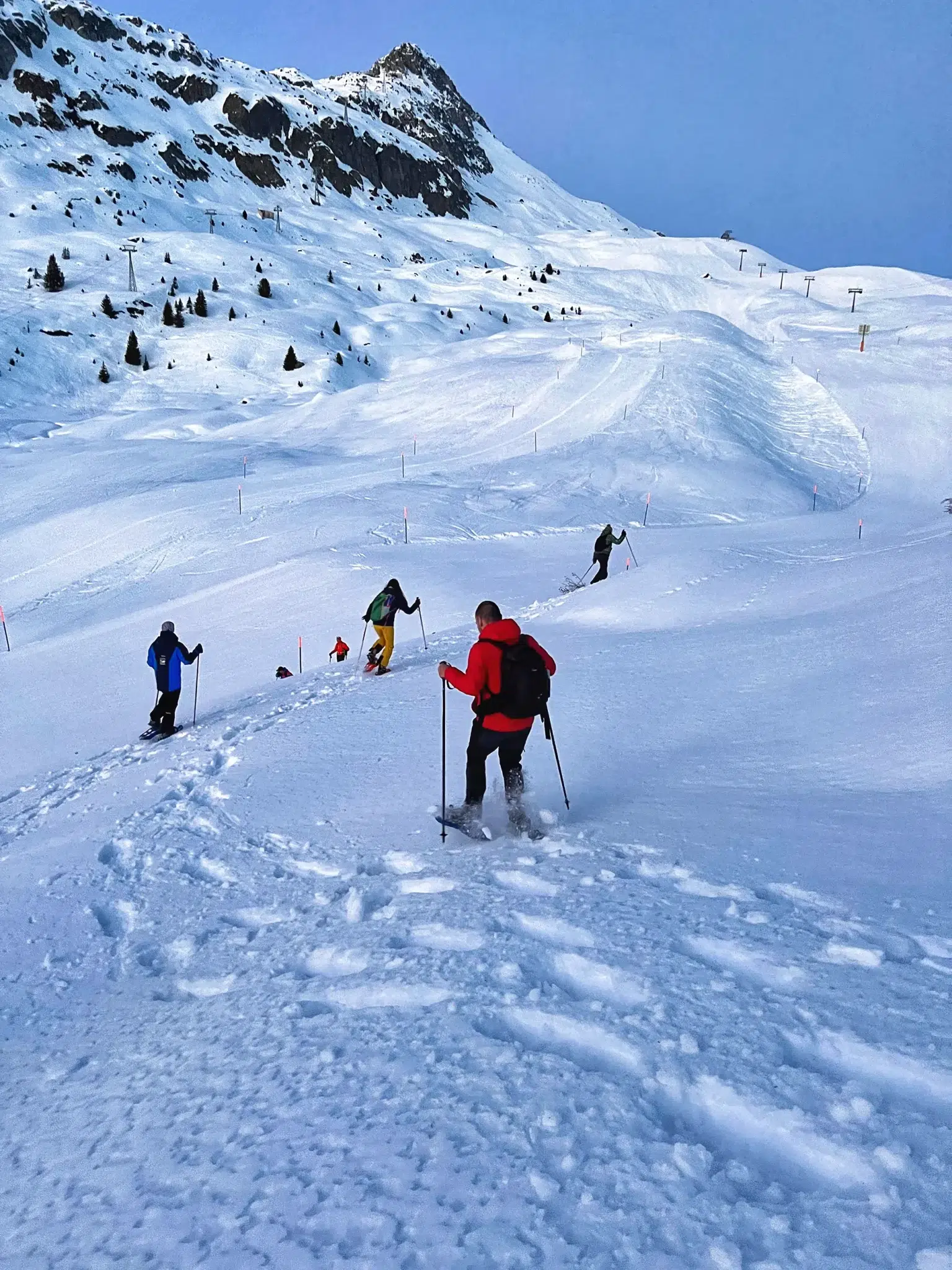 Aletsch Arena, Zwitserland - Sneeuwschoenwandelen