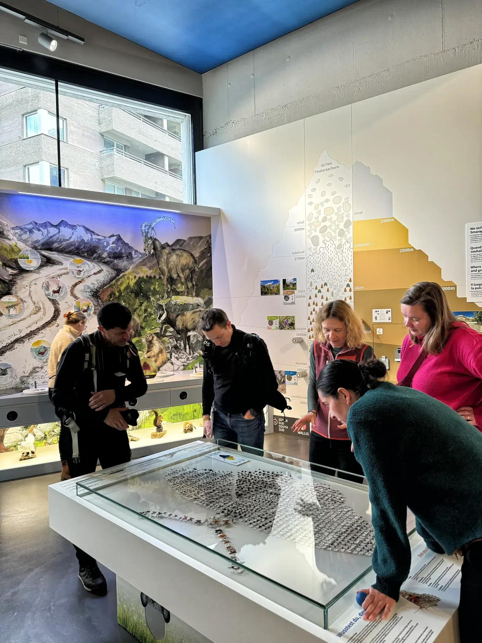 Aletsch Arena, Zwitserland - World Nature Forum