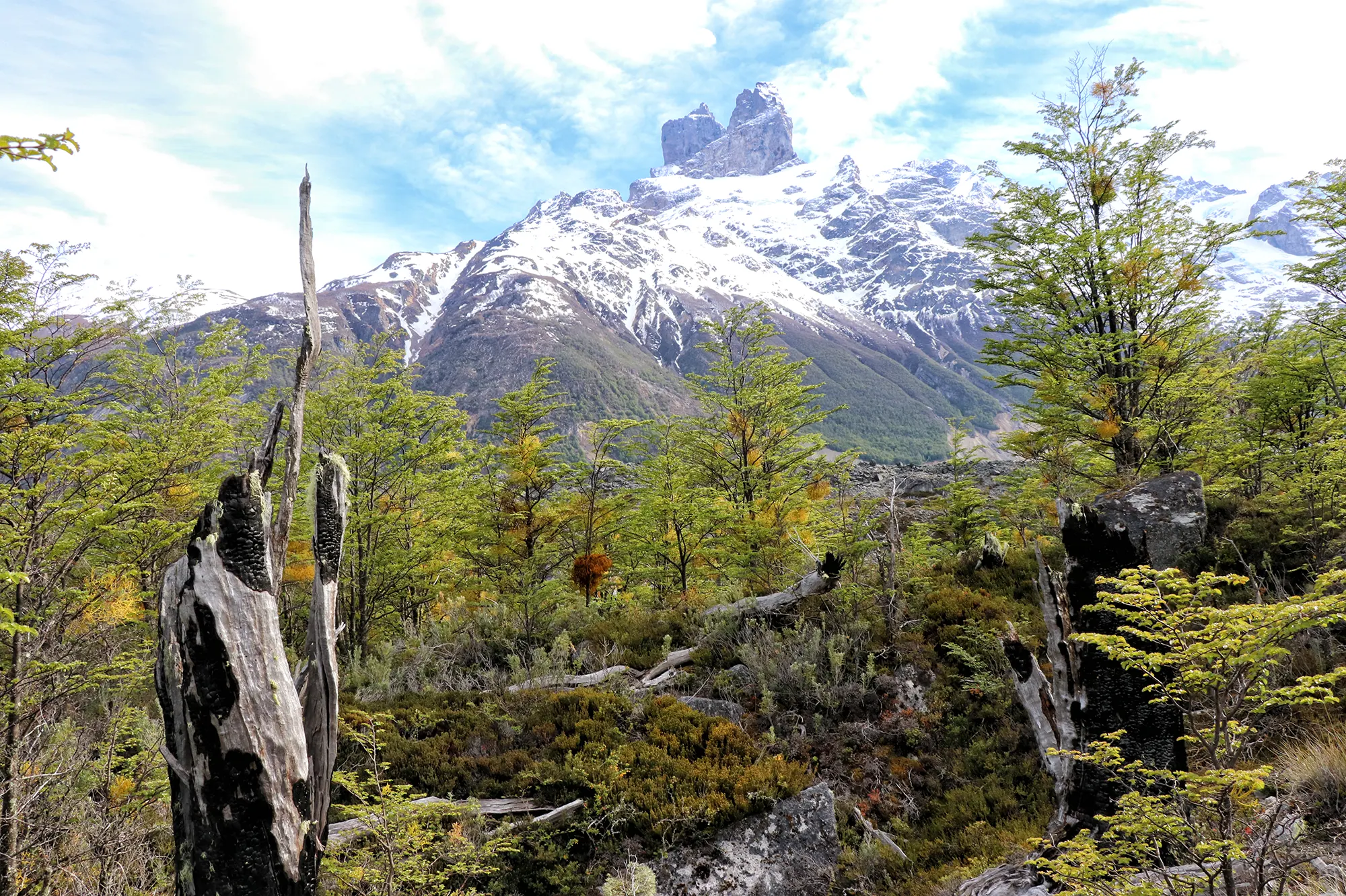 Glaciar Calluqueo, Chili