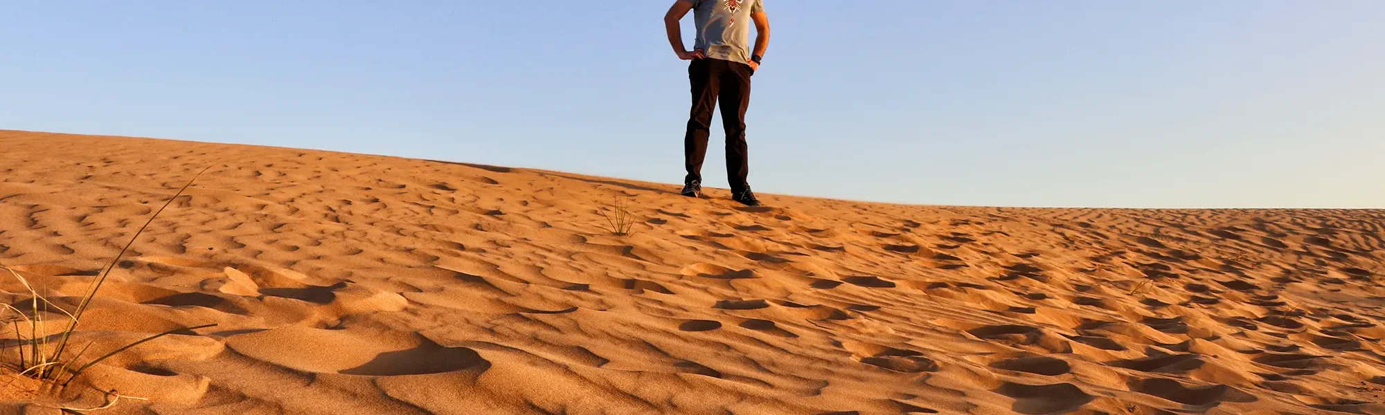 Dubai - Dubai Desert Conservation Reserve