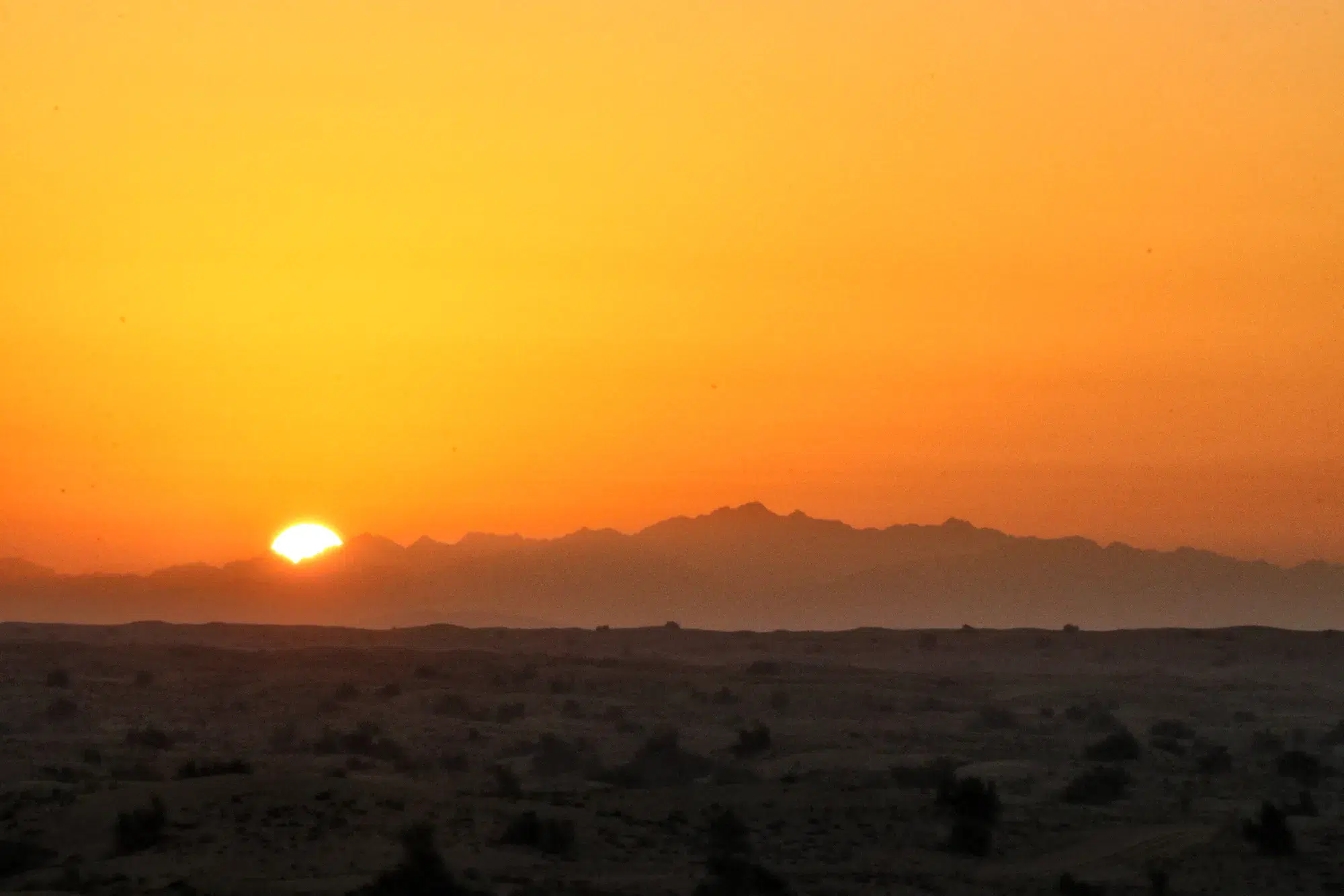 Dubai - Dubai Desert Conservation Reserve