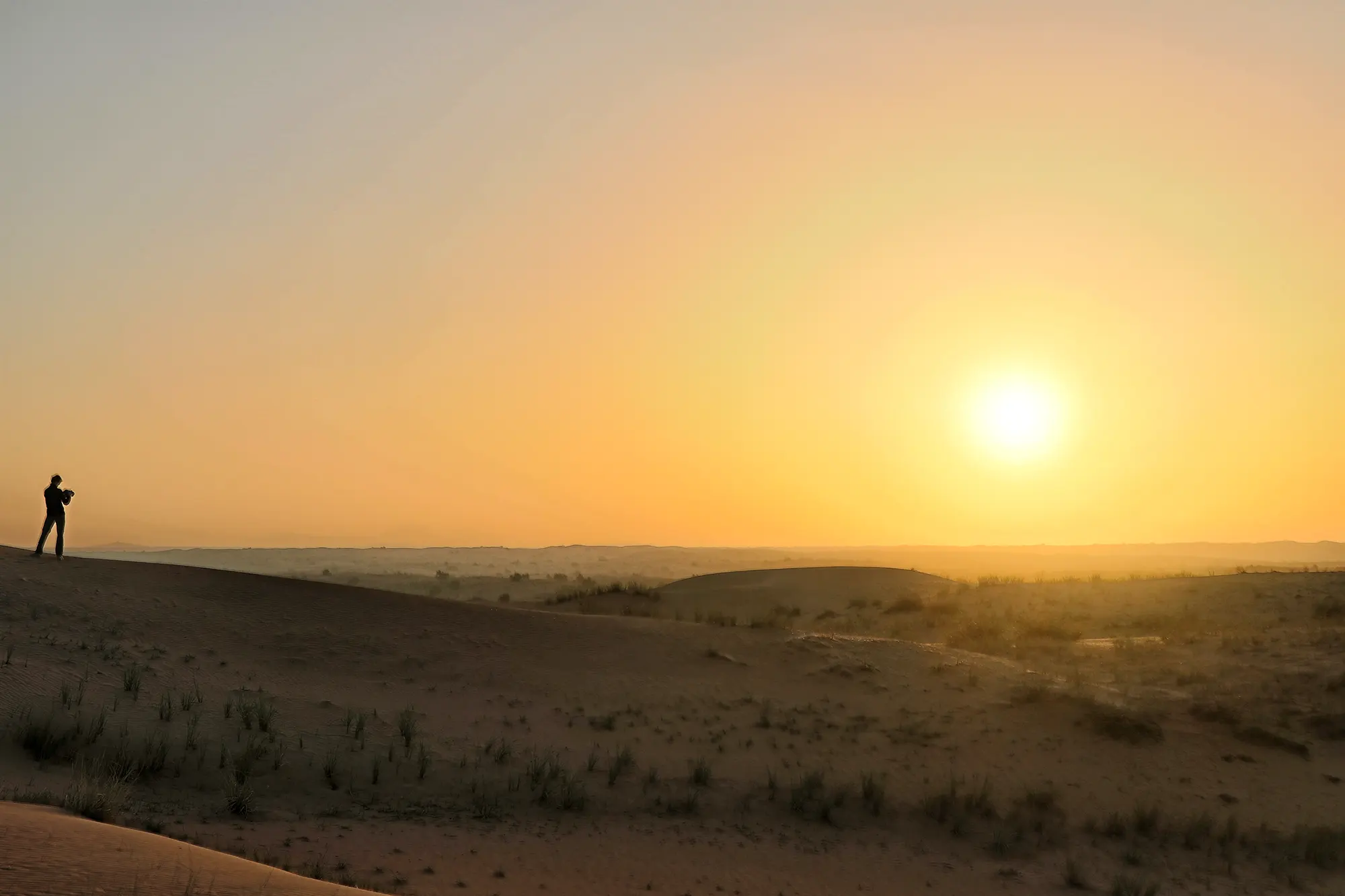 Dubai - Dubai Desert Conservation Reserve