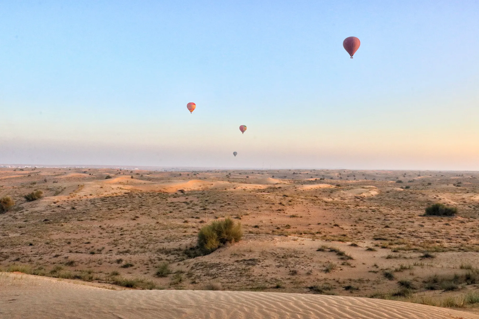 Dubai - Dubai Desert Conservation Reserve