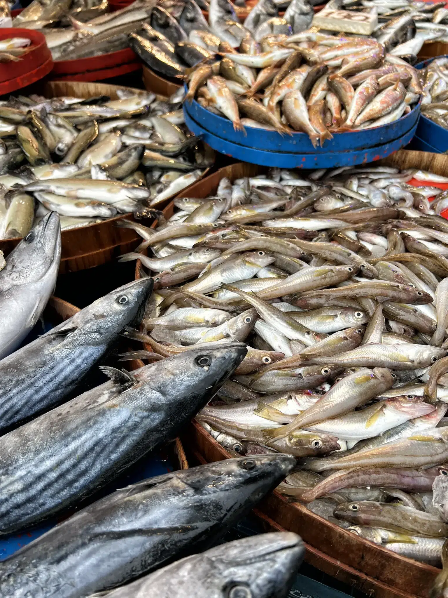 Vismarkt - Trabzon, Turkije