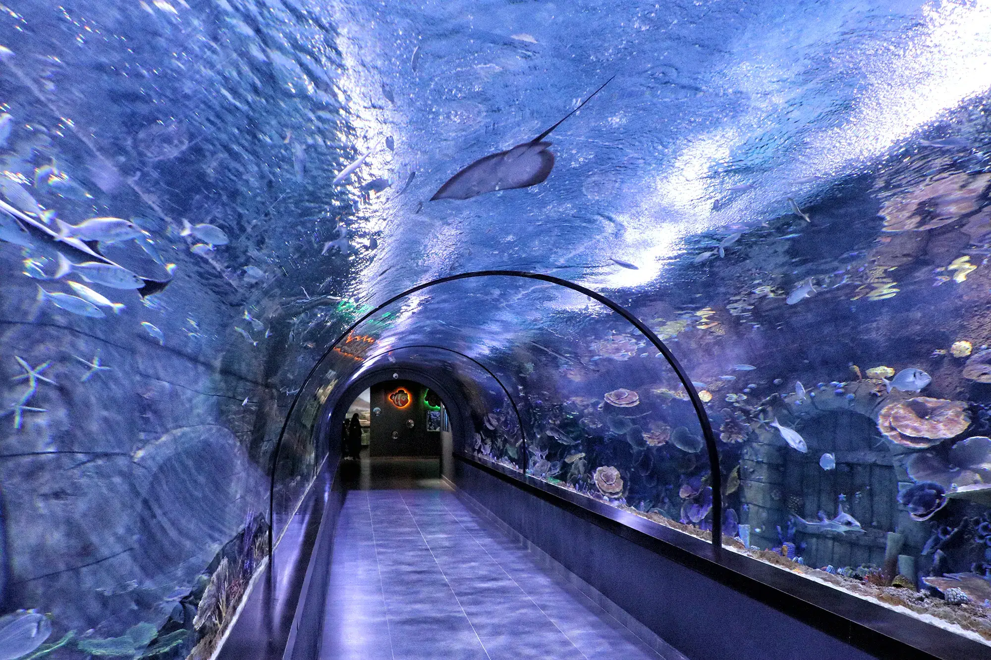 Tünel Akvatyum - Trabzon, Turkije