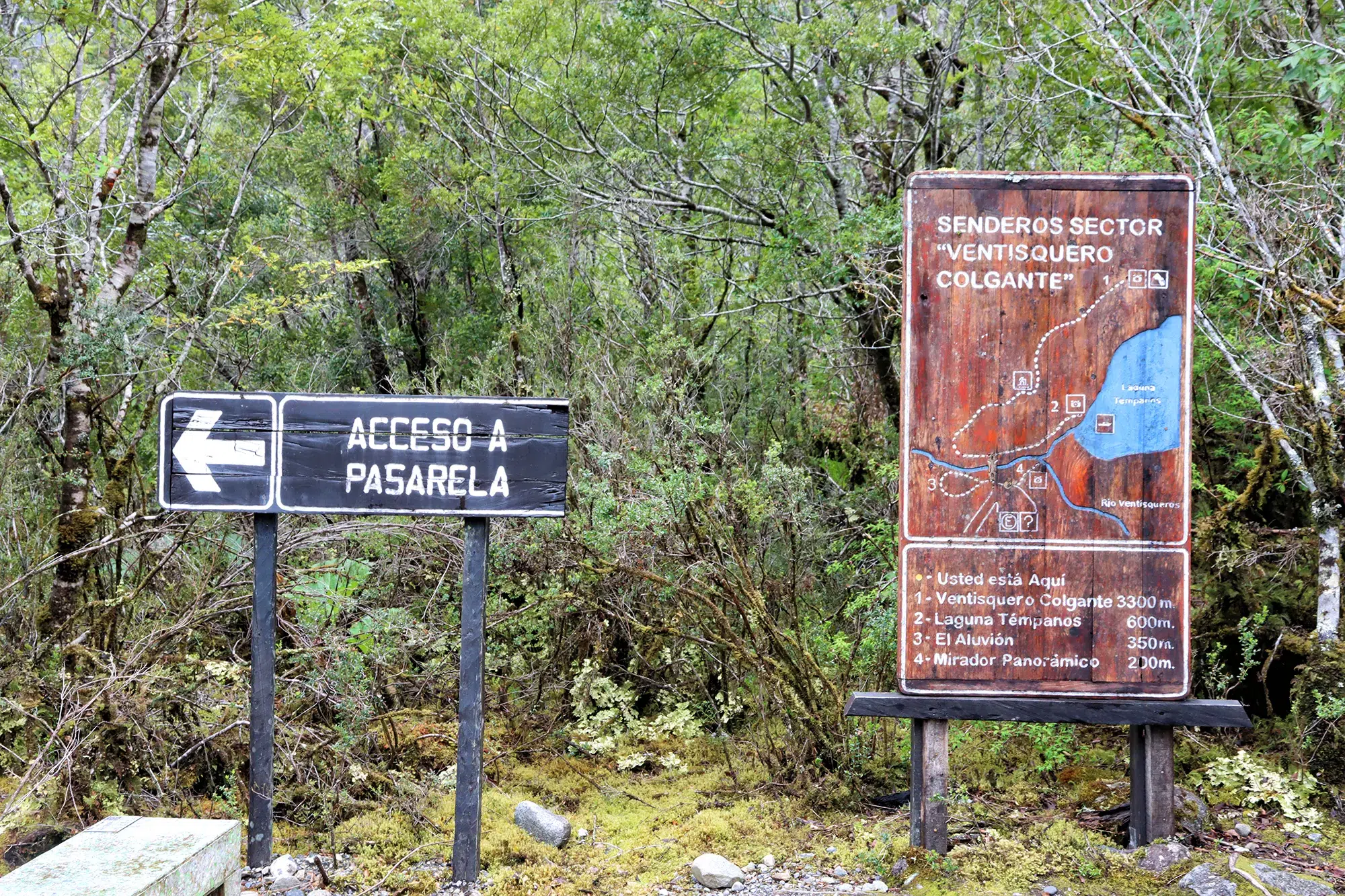 Ventisquero Colgante in het Parque Nacional Queulat, Chili