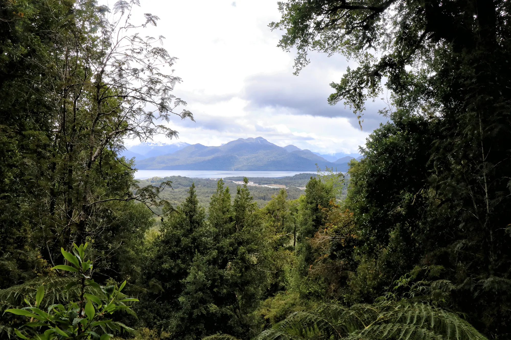 Ventisquero Colgante in het Parque Nacional Queulat, Chili