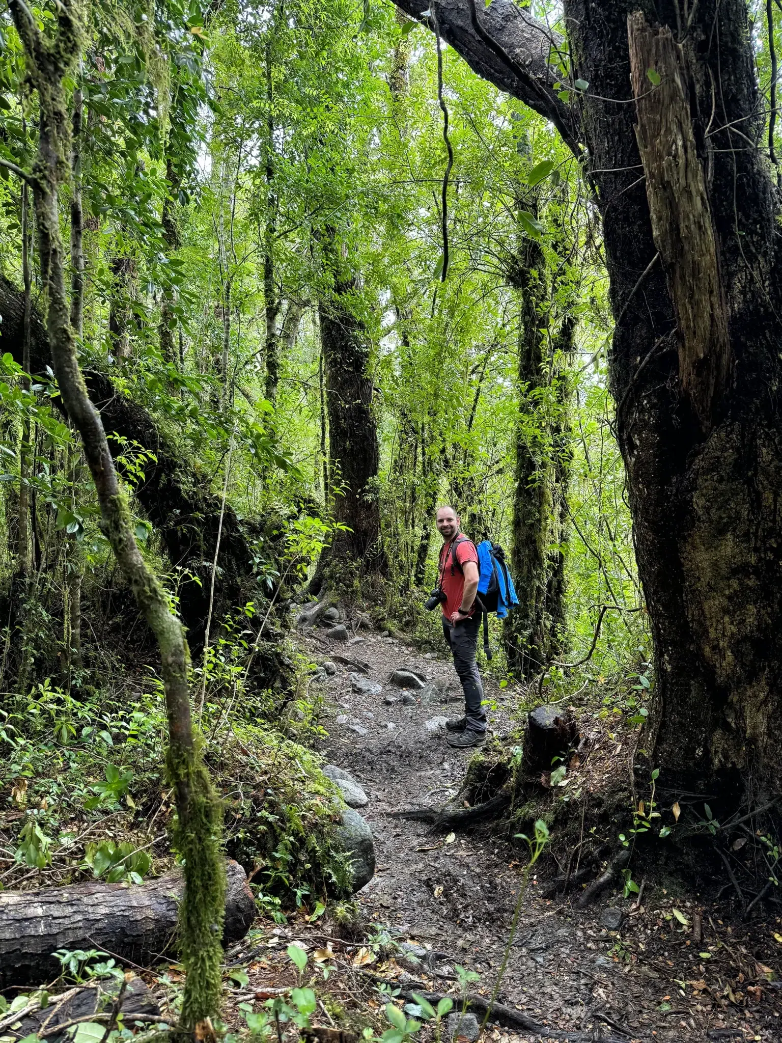 Ventisquero Colgante in het Parque Nacional Queulat, Chili