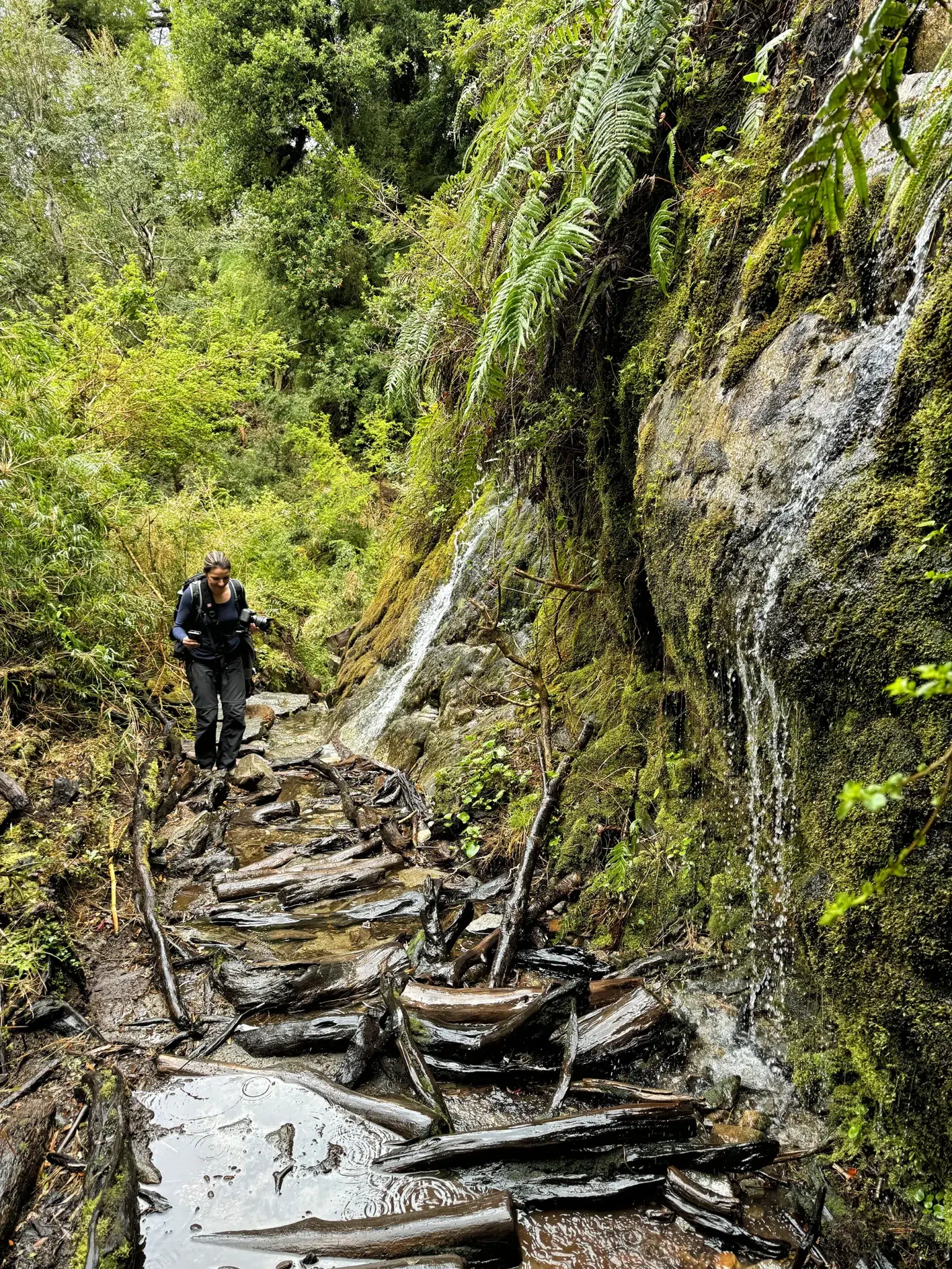 Ventisquero Colgante in het Parque Nacional Queulat, Chili