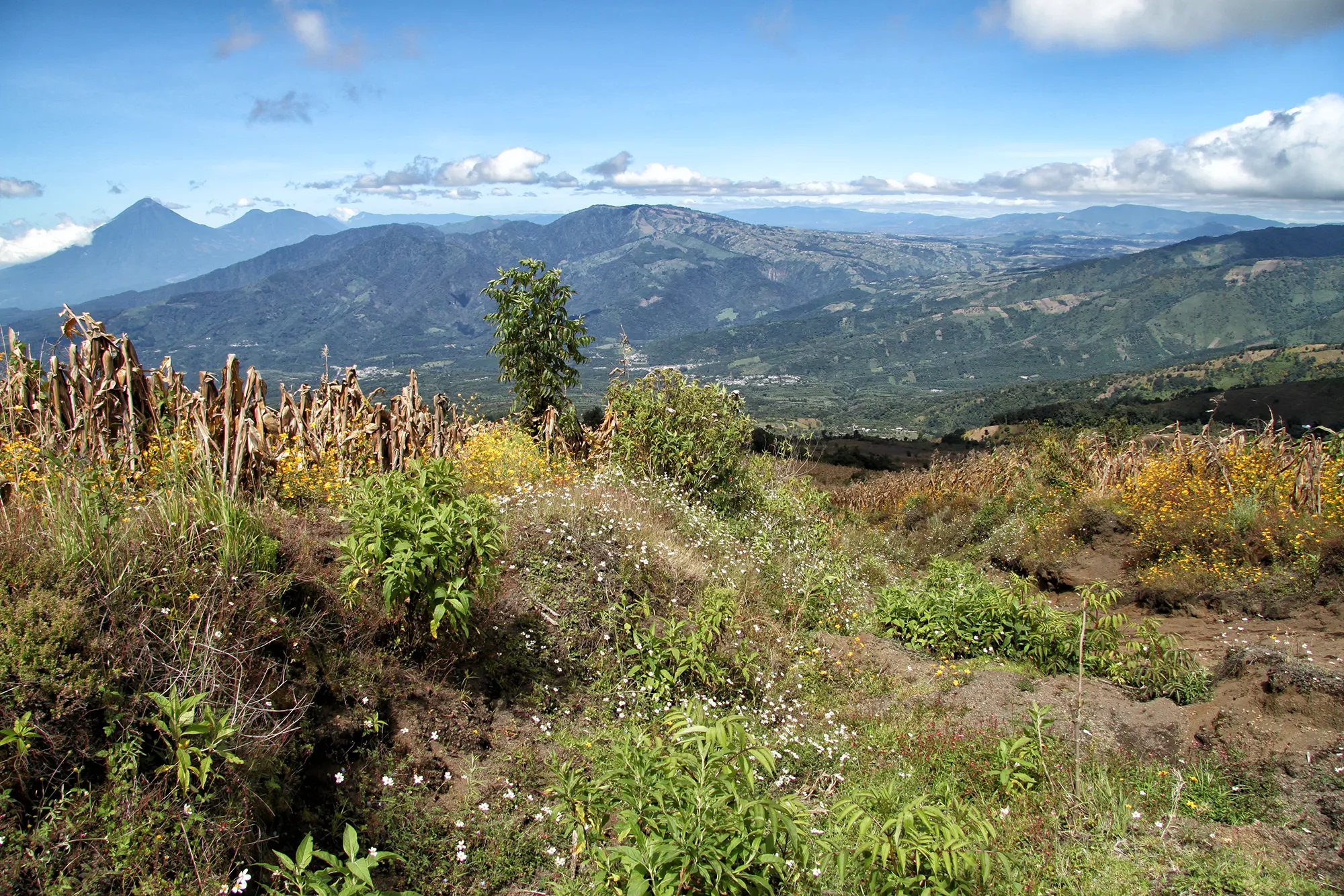 Volcán Acatenango hike in Guatemala