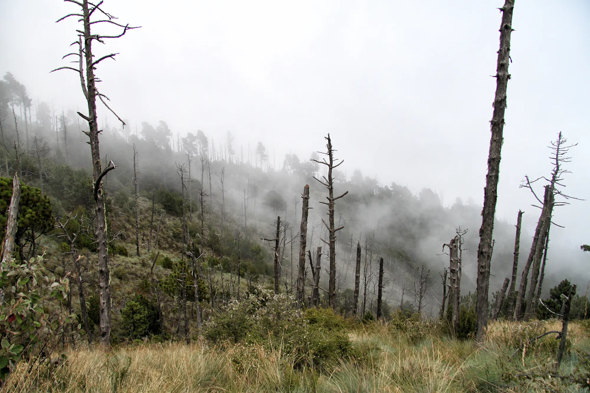 Volcán Acatenango hike in Guatemala