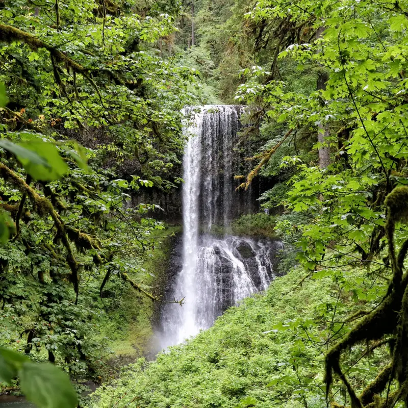 Trail of Ten Falls, Silver Falls State Park - Middle North Falls