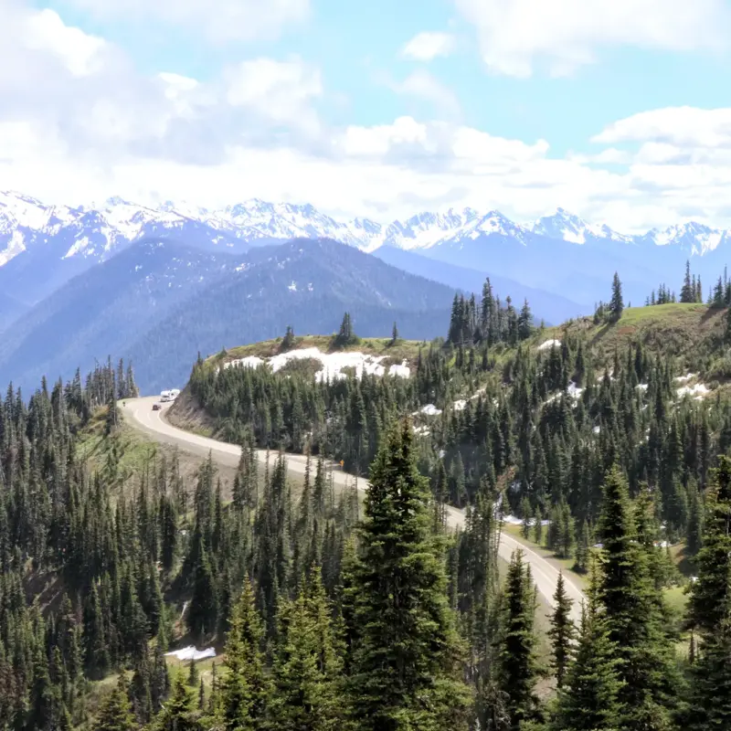 Hurricane Ridge - Olympic National Park, Verenigde Staten
