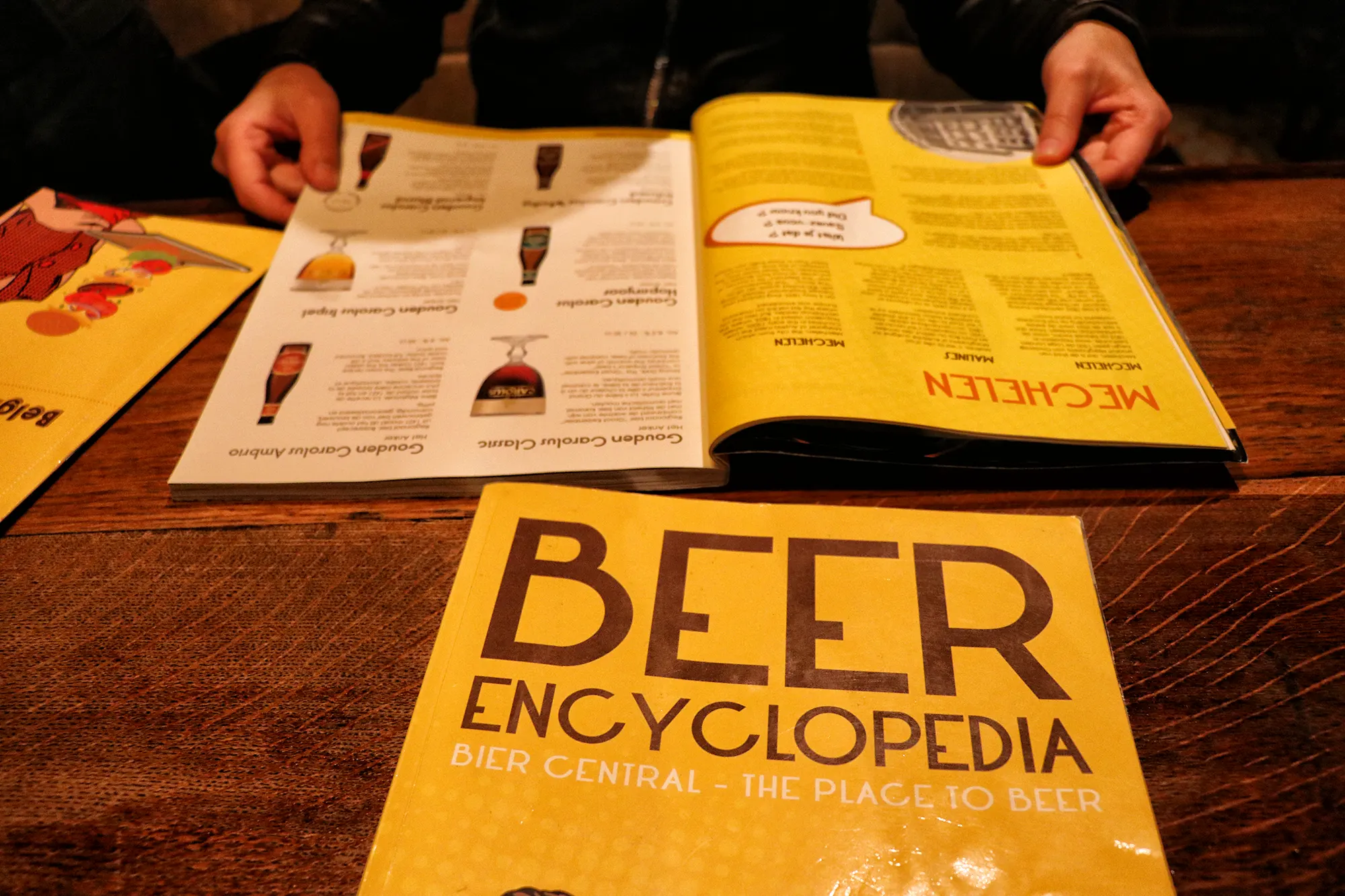 Biercafés Mechelen - Bier Central