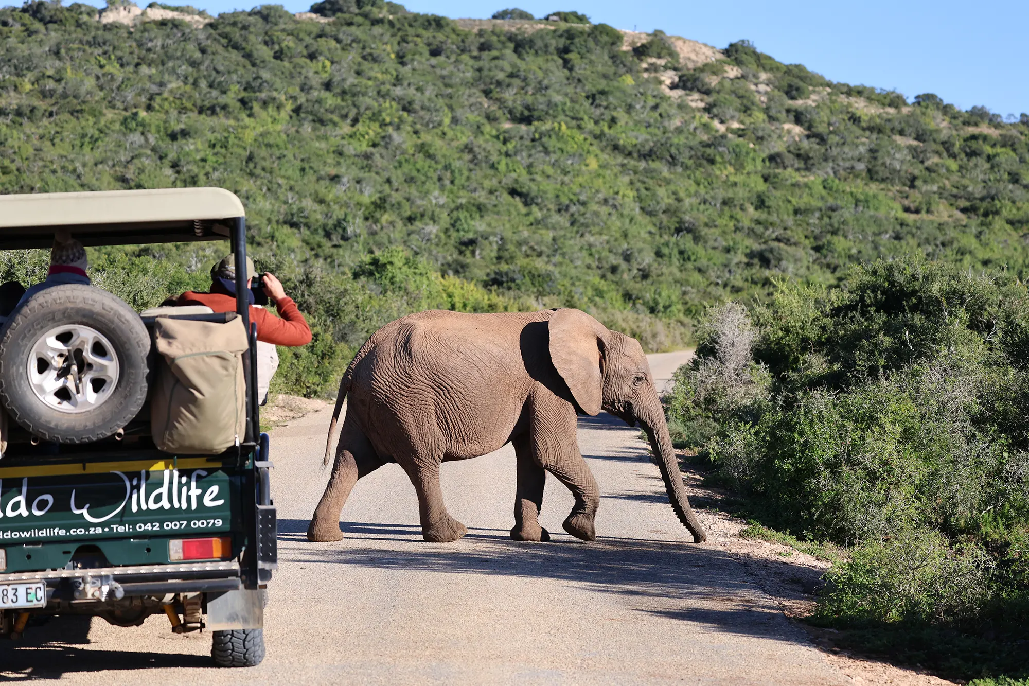 De juiste reisorganisatie kiezen voor je reis naar Zuid-Afrika