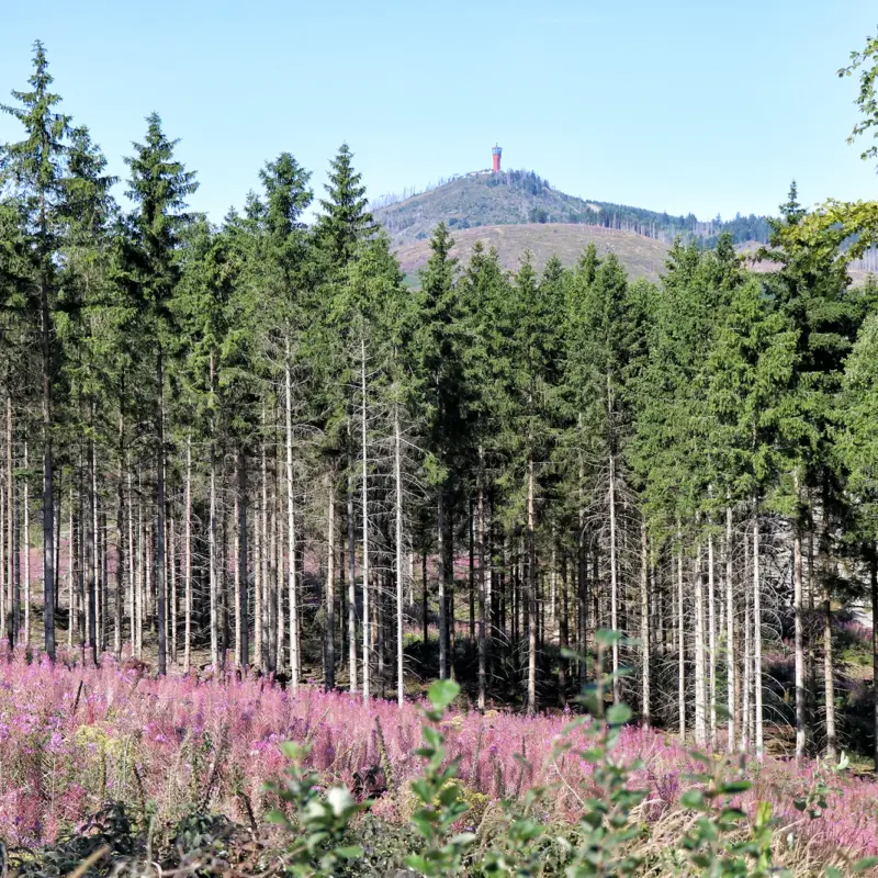 Brocken - Harz, Duitsland