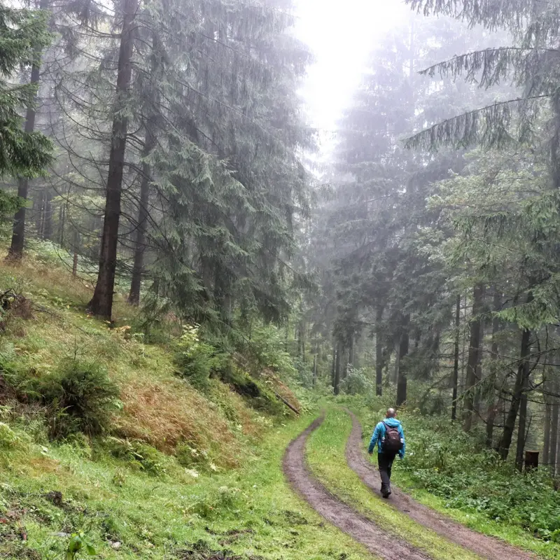 Kammweg Erzgebirge - Duitsland