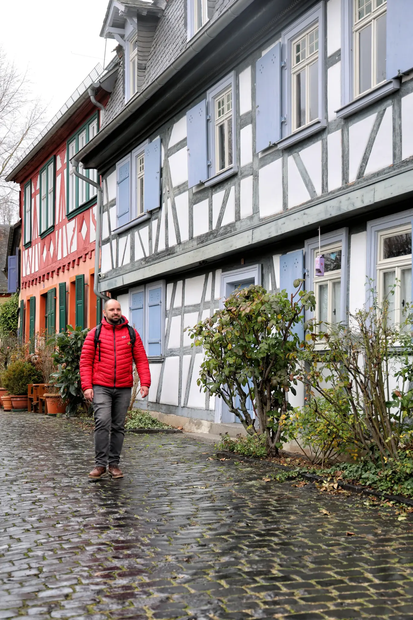 Frankfurt am Main - Höchst