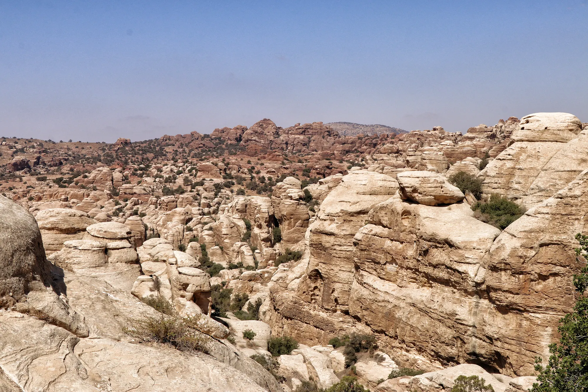 dana-biosphere-reserve-jordanie-15