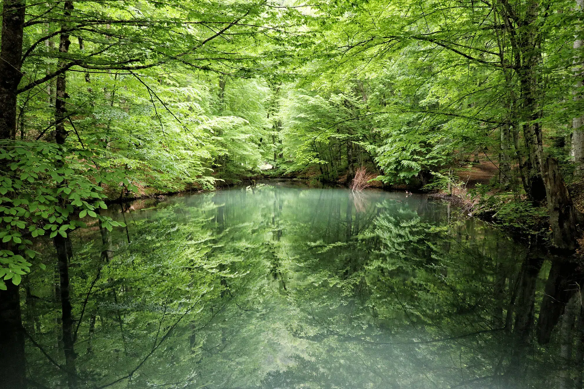 Yedigöller National Park: zeven meren in Turkije