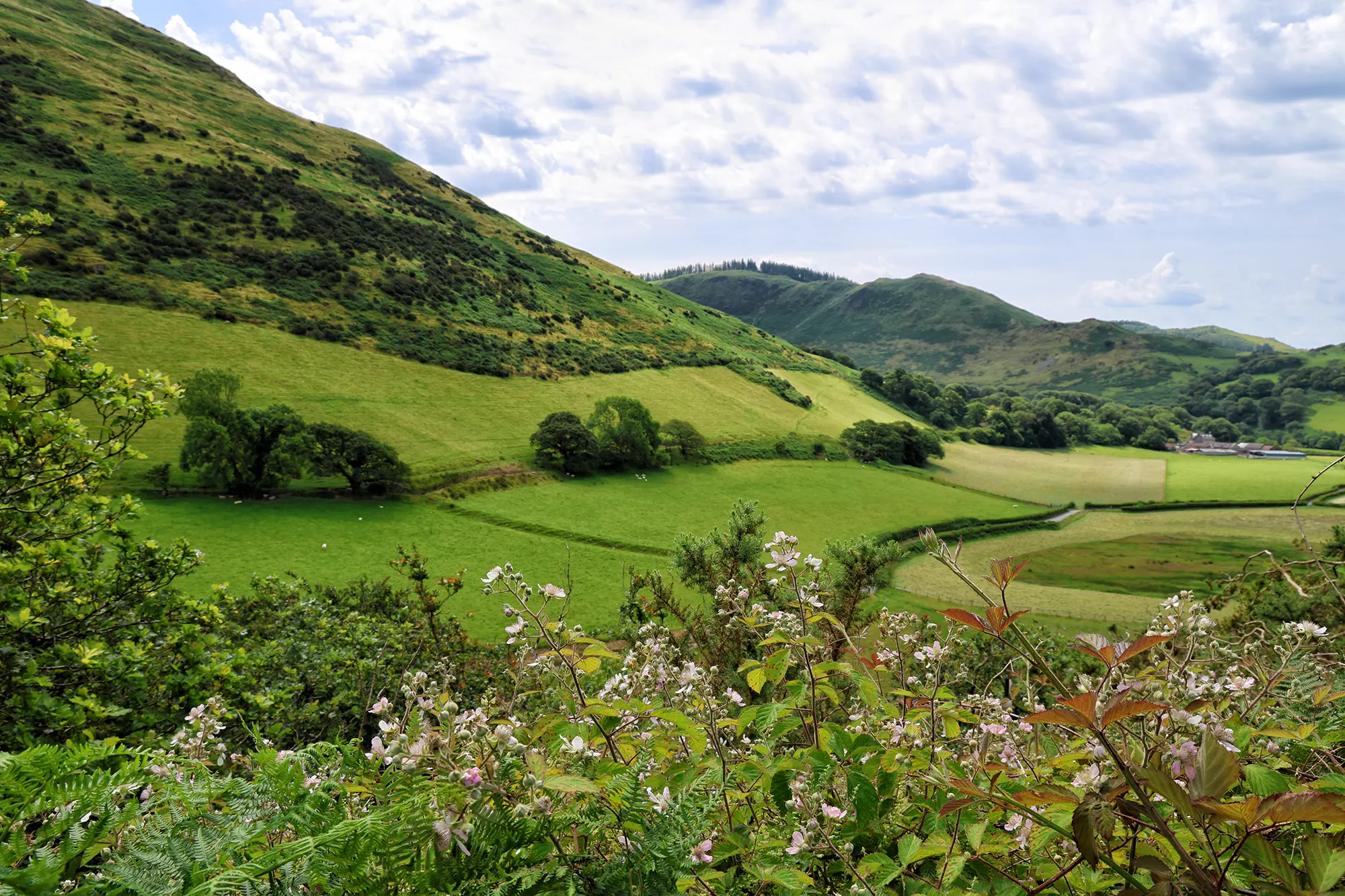 noord-wales-1